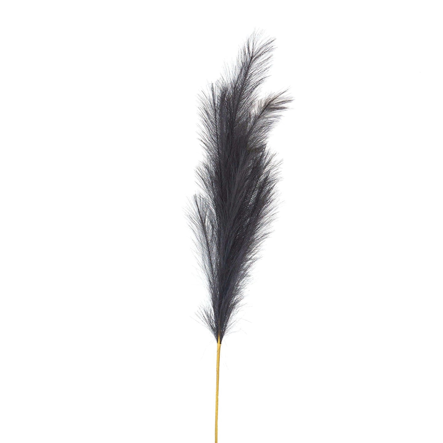Large
