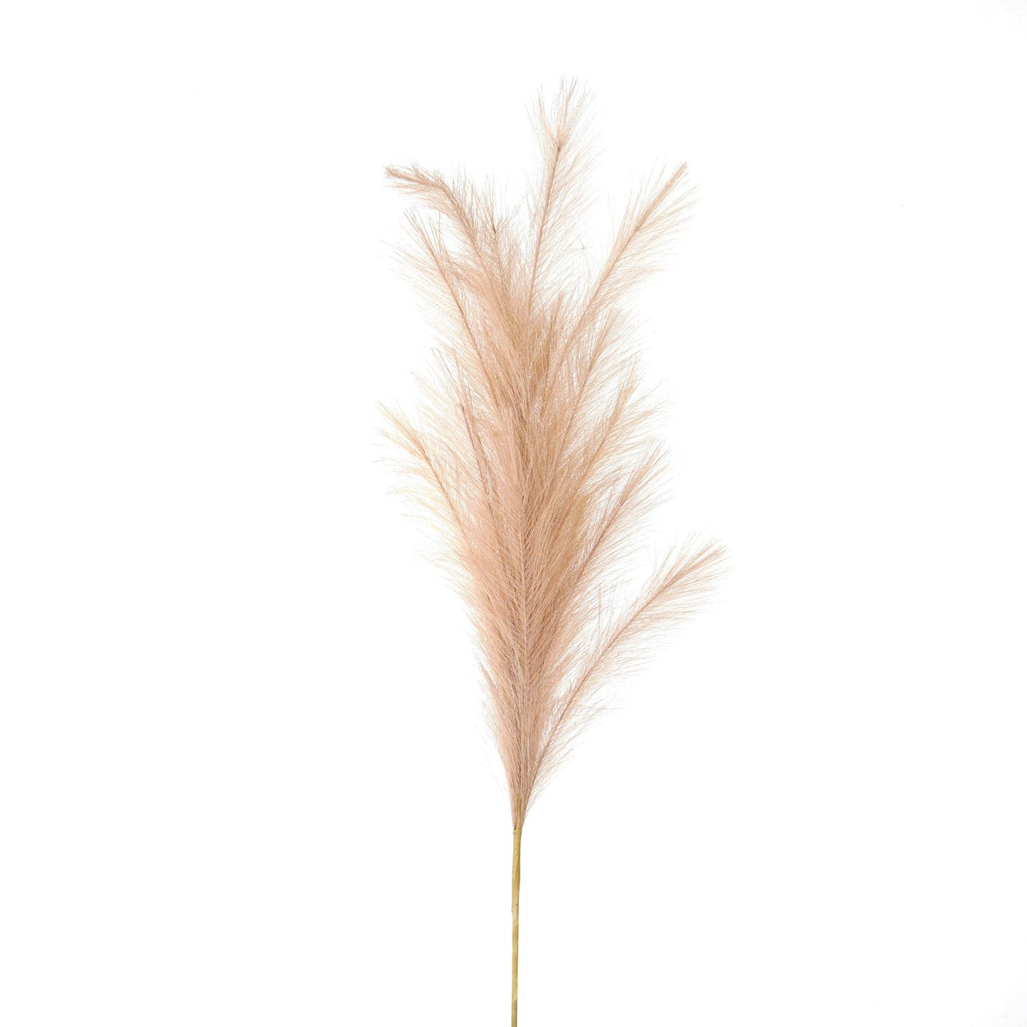 Faux Pampas Grass Stem