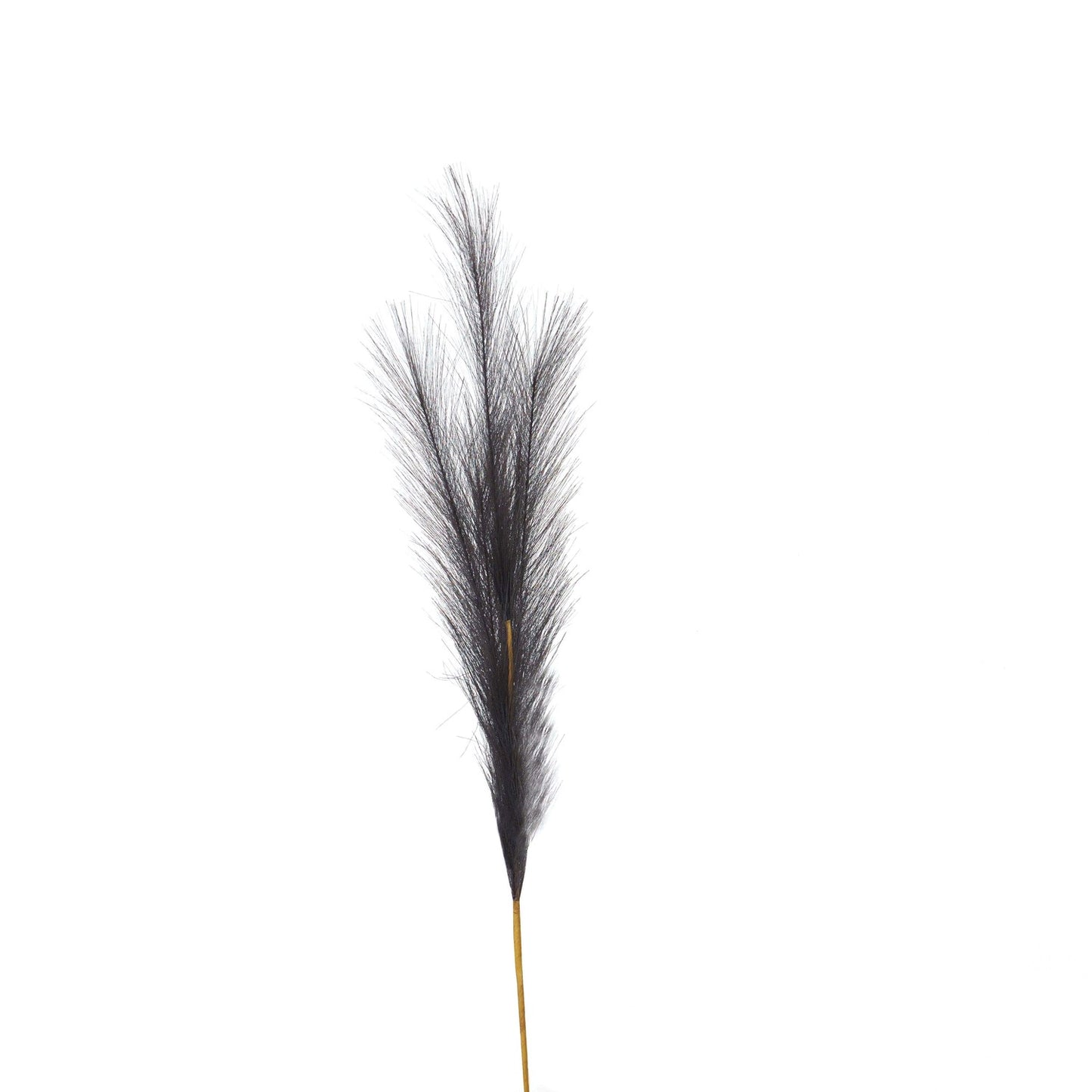 Small