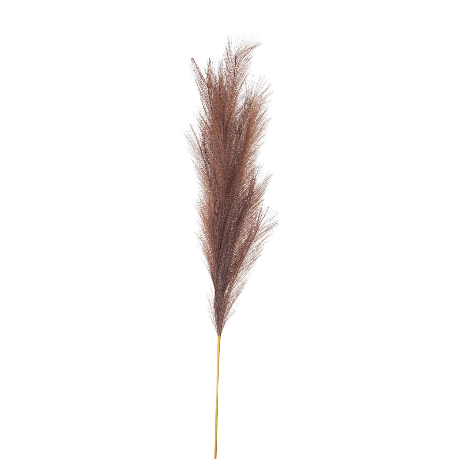 Large